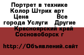 Портрет в технике “Колор-Штрих-арт“ › Цена ­ 250-350 - Все города Услуги » Другие   . Красноярский край,Сосновоборск г.